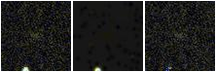 Missing file PGC1615610-custom-montage-FUVNUV.png