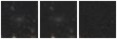 Missing file PGC1615610-custom-montage-W1W2.png