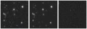 Missing file PGC2571140-custom-montage-W1W2.png