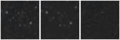 Missing file AGC749316-custom-montage-W1W2.png