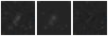 Missing file PGC086973-custom-montage-W1W2.png