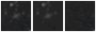 Missing file PGC2213744-custom-montage-W1W2.png