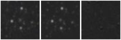 Missing file PGC2653409-custom-montage-W1W2.png