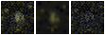 Missing file PGC4689207-custom-montage-FUVNUV.png
