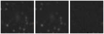 Missing file SDSSJ102827.71+630844.8-custom-montage-W1W2.png