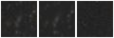 Missing file SDSSJ103156.68+220549.4-custom-montage-W1W2.png
