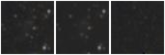 Missing file UGC05671-custom-montage-W1W2.png