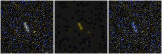 Missing file AGC208592-custom-montage-FUVNUV.png