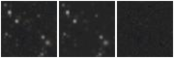 Missing file AGC208862-custom-montage-W1W2.png