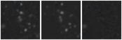 Missing file PGC086980-custom-montage-W1W2.png