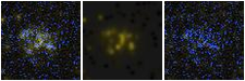 Missing file PGC087169-custom-montage-FUVNUV.png