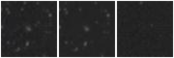 Missing file PGC1689492-custom-montage-W1W2.png
