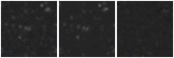 Missing file PGC2277751-custom-montage-W1W2.png