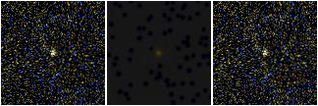 Missing file PGC2672385-custom-montage-FUVNUV.png