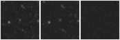 Missing file PGC2672385-custom-montage-W1W2.png