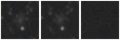Missing file PGC2807202-custom-montage-W1W2.png