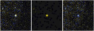 Missing file SDSSJ103511.05+252704.0-custom-montage-FUVNUV.png