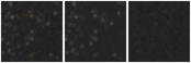 Missing file SDSSJ103511.05+252704.0-custom-montage-W1W2.png