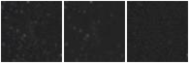 Missing file SDSSJ103548.98+082859.9-custom-montage-W1W2.png