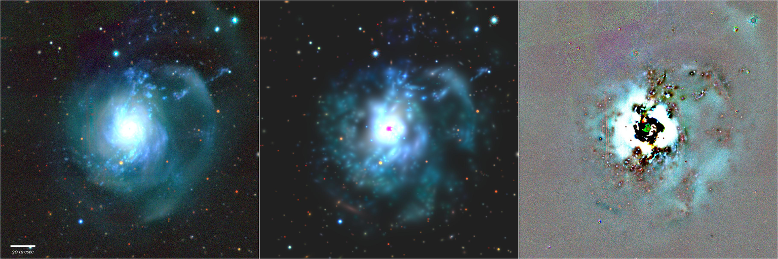 Missing file NGC3310-custom-montage-grz.png
