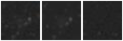 Missing file PGC166106-custom-montage-W1W2.png