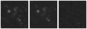 Missing file SDSSJ103800.29+364147.5-custom-montage-W1W2.png