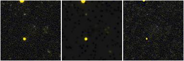 Missing file AGC208399-custom-montage-FUVNUV.png
