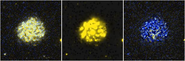 Missing file NGC3346-custom-montage-FUVNUV.png