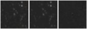 Missing file PGC3139929-custom-montage-W1W2.png