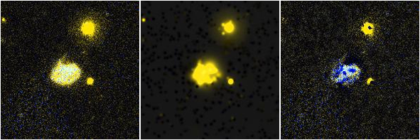 Missing file UGC05832-custom-montage-FUVNUV.png