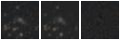 Missing file PGC032107-custom-montage-W1W2.png