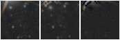 Missing file PGC083339-custom-montage-W1W2.png