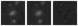Missing file PGC083341-custom-montage-W1W2.png