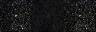 Missing file SDSSJ104701.47+273825.6-custom-montage-FUVNUV.png