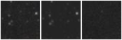 Missing file SDSSJ104720.05+122314.9-custom-montage-W1W2.png