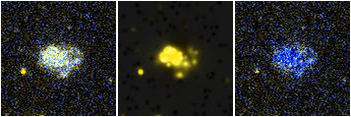 Missing file UGC05883-custom-montage-FUVNUV.png