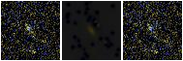Missing file VFID3301-custom-montage-FUVNUV.png