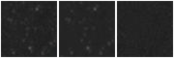 Missing file AGC205197-custom-montage-W1W2.png
