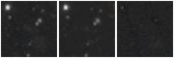 Missing file AGC205205-custom-montage-W1W2.png