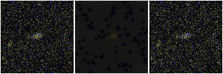 Missing file AGC208737-custom-montage-FUVNUV.png