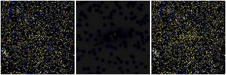 Missing file AGC740112-custom-montage-FUVNUV.png