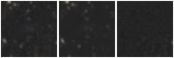 Missing file AGC740112-custom-montage-W1W2.png