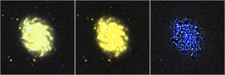 Missing file NGC3423-custom-montage-FUVNUV.png