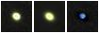 Missing file PGC083352-custom-montage-FUVNUV.png