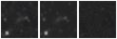 Missing file PGC135767-custom-montage-W1W2.png