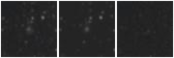 Missing file PGC2636198-custom-montage-W1W2.png