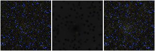 Missing file PGC2807139-custom-montage-FUVNUV.png