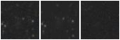 Missing file PGC2807139-custom-montage-W1W2.png