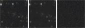Missing file SDSSJ105146.67+135835.5-custom-montage-W1W2.png