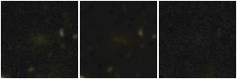 Missing file VFID4458-custom-montage-FUVNUV.png